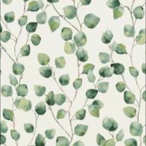 Meet your Posher, Jacee